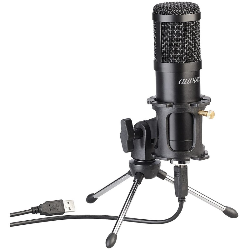 auvisio Microphone: Set of 2 Professional USB Condenser Microphones, High-Performance,