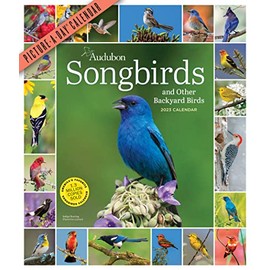 Audubon Songbirds and Other Backyard Birds Picture-A-Day Wall Calendar 2023