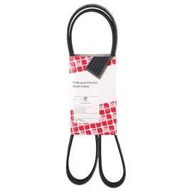 febi bilstein 28888 Keilrippenriemen , Rippenanzahl 5 , 1 Stück, Schwarz