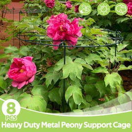 Jesosia 8 Pack Peony Cages and Supports - Grow Through Plant Support for Outdoor Plants - Sturdy Metal Support Frame for Peonies, Roses Flower Garden Cage - Wide Top Rings Bouquet Shape 12" D x 16" H