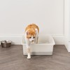 IRIS USA Large Open Top Cat Litter Box, Kitty Litter