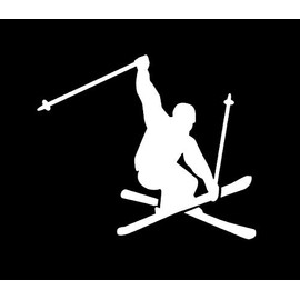 Makarios LLC Ski Jump Cars Trucks Vans Walls Laptop MKR| White |5.5 x 4.5|MKR444