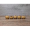 Box of 5-2" Decorative Gourd Bowls for Crafting with Straight
