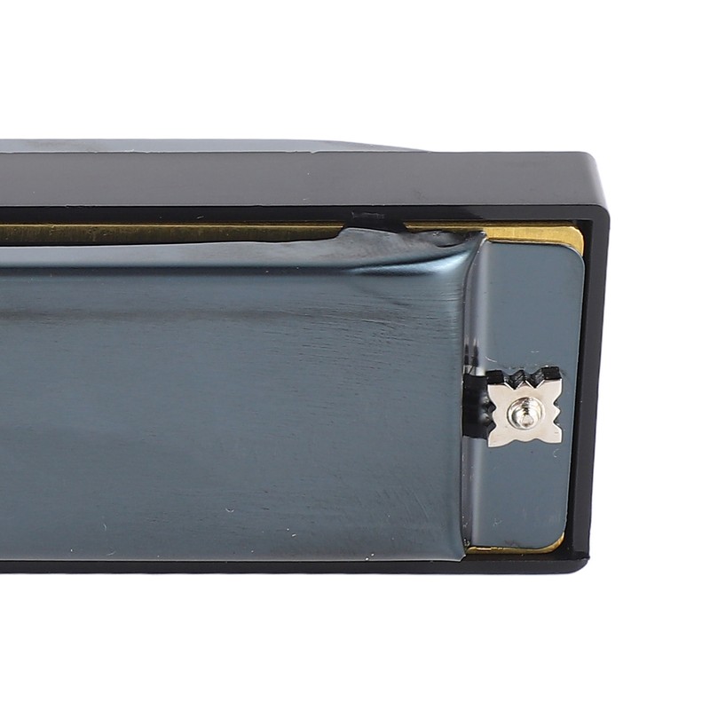 Blues Harmonica C Key 10 Holes Diatonic Mouthorgan Wind Instrument