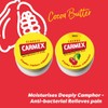 Carmex Pot Set – Classic & Cherry| Moisturising Lip Care