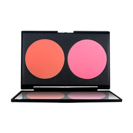 aopoka Shading & Cheek 2 Colors Set Natural 3D Waterproof Face Powder for Makeup Base (04 Light Brown & Dark Brown)