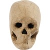 Creativ 592572 10 cm 1-Piece Papier Mache Skull, Beige