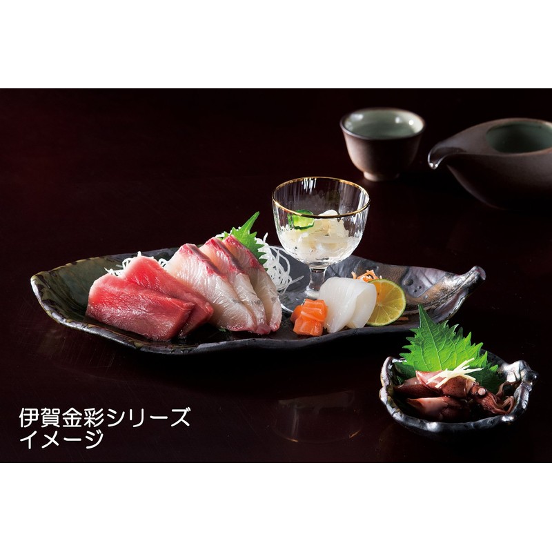 Banko Ware 16052 Iga Kinsai Park Leaf Long Plate for