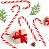 Christmas Candy Canes 1 Pack (12 Pieces) Classic Red and
