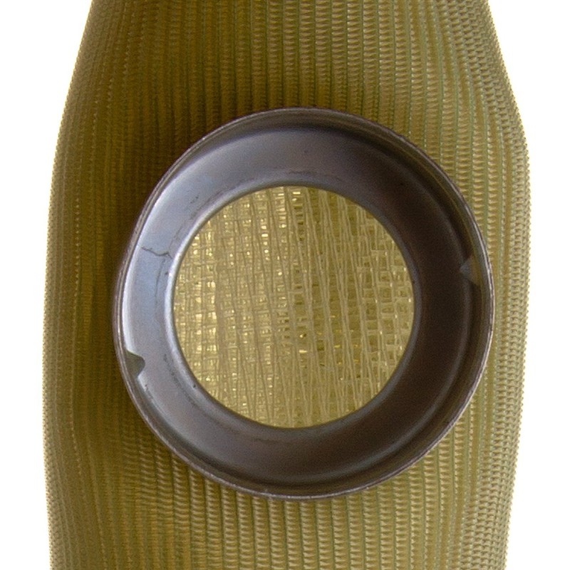Delphi FS0021 Fuel Pump Strainer