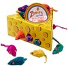 Zanies Rainbow Mice Cat Toys in Cheese Wedge Display Box,