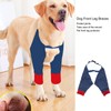 Dog Front Leg Braces Soft Padded Elastic Breathable Joint Protection