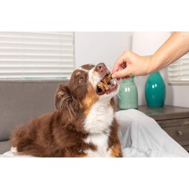 Natural Cravings Beef Roaster Bites Dog Chews, 3.5 Ounces, Beef Lung Treats