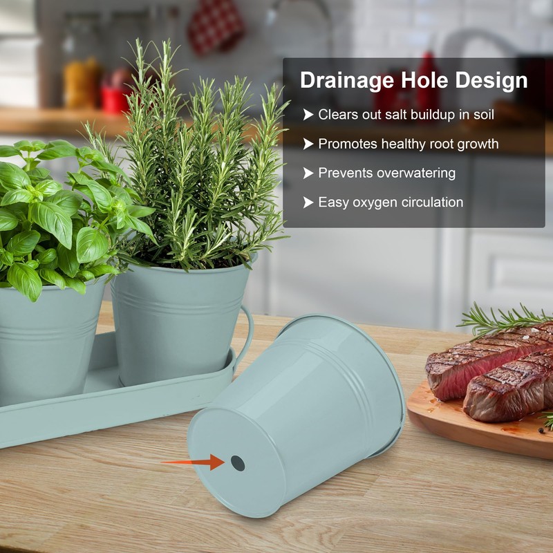 Wacloud Herb Garden Planter Indoor Kit – 6 Metal Pots