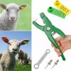 200 Aretes Para Cerdo Cabra Ganado Numeros Láser Con Pinza
