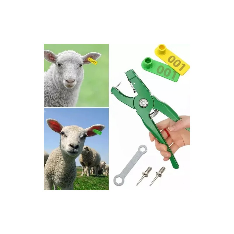 200 Aretes Para Cerdo Cabra Ganado Numeros Láser Con Pinza