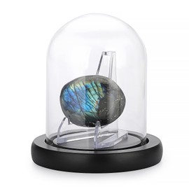 Hipiwe Clear Glass Dome Cloche, Glass Display Bell Jar with Black Wood Base, Decorative Display Case Acrylic Easel Stand for Plants, Medals, Challenge Coin, Pocket Watch Collectibles, 4.1"x 4.5"