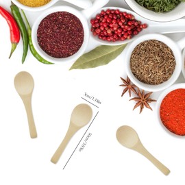 10 Pcs Wooden Spice Spoons Small Wooden Spoons, Versatile Mini Wooden Spoons Supplies, Salt Spoon Wooden Honey Spoon, Spice Spoon Small Teaspoons for Honey Suitable for Spices, Ice Cream, Cakes