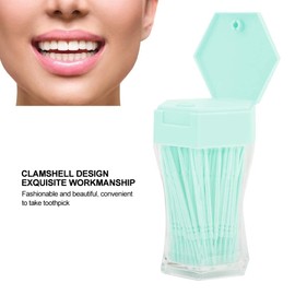 Agatige 200pcs 2 Ends Toothpicks, Plastic Coloured Teeth Toothpicks with Toothpick Dispenser for Home Restaurant Hotel (Green)