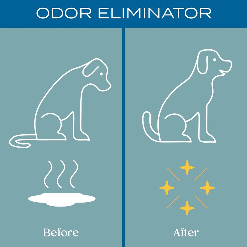 Lively Pet Odor & Stain Control Bundle – Deodorizing Spray