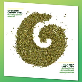 KITTY KA-ZOOM Catnip Craze - Catnip Mix | Hand Harvested Fresh Catnip Grown in Canada and The USA