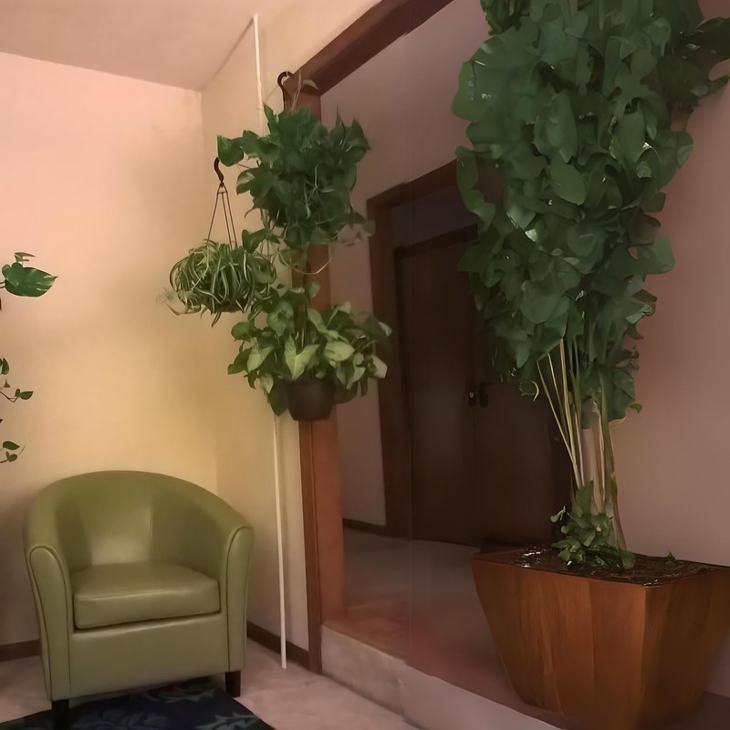 INDOOR PLANT POLE Spring Tension Rod with 3 Adjustable ARMS