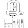 Wichard 322201 Shackle D Shackle, Stainless Steel, Pin Diameter 0.2