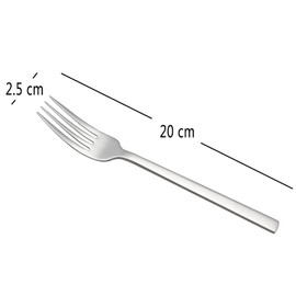 Tstorage 12 Pieces Stainless Steel Dinner Forks