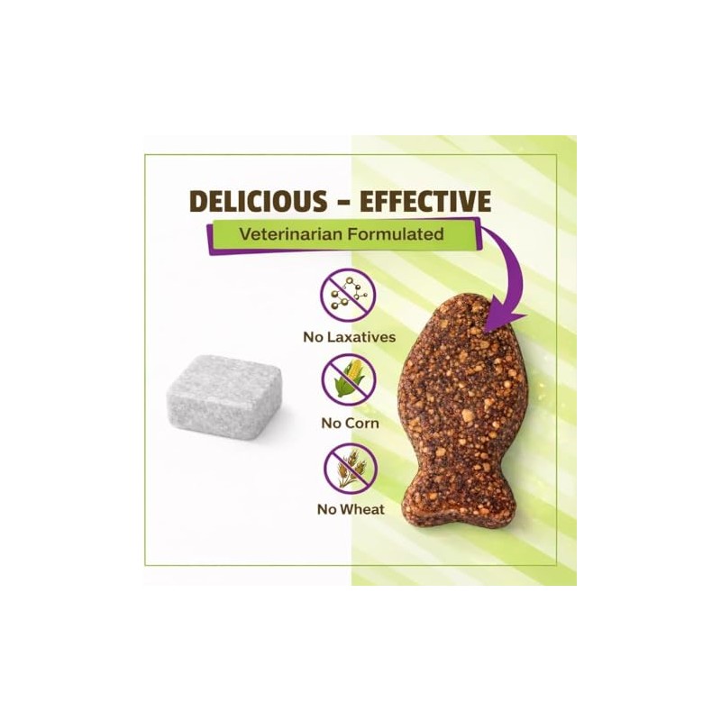 Pet Naturals Suplementos Naturales Digestión Diaria para Gatos