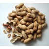 Hampton Spicy Peanuts in Shell Hot Nuts - (1 Pack)