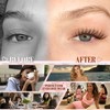 Mavphnee Brown Eyelash Clusters Wispy Lash Extension Cluster Natural Individual