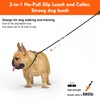 BeauGo Slip Leads for Dogs,Top Speed Training Dog Leash,2-in-1 No-Pull