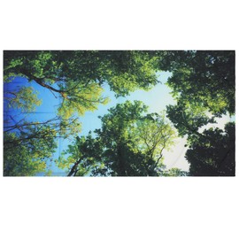 DDFS Fluorescent Light Cover with 4 x 2 Feet,Magnetic Office Light Covers for Hospital Office Library Forest