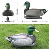 Cifavor Realistic Plastic Mallard Duck Decoy, Floating Hunting Decoy for
