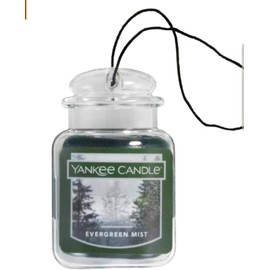 Yankee Candle Evergreen Mist Car Jar Ultimate