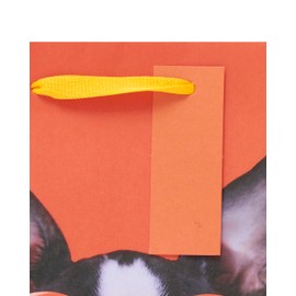 UK Greetings Medium Gift Bag for Him/Her/Kids - for Birthdays, Thank You & Other Events - Funny Dog Design