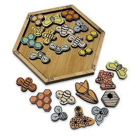 Project Genius EC311 Wooden Puzzle