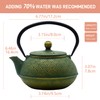 900ml Cast Iron Tea Kettle,SECHUDO Teapot Coated with Enameled Interior