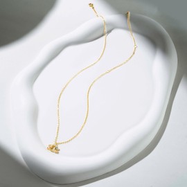 YV-cozx Zodiac Necklace for Women,Zodiac Pendant Necklace,925 Sterling Silver Constellation Necklace for Girlfriend Women Anniversaries Birthday (Libra)