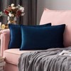 MIULEE Pack of 2 Velvet Soft Decorative Square Throw Pillow