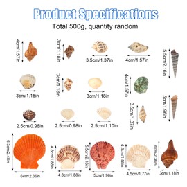 GOSHIES Shells Mixed 500 g Shells Decorative Natural Shells in Various Sizes, Perfect for Party Wedding Decor, DIY Crafts