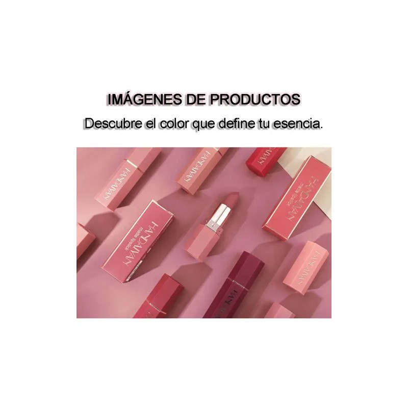Lapiz Labial Color Mate Silky Saturados Larga Duración