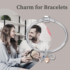 Famuan Jewelry Love Charm 925 Sterling Silver Pendant for Women Heart Blue Daisy Key Nurse Stethoscope Bracelets Mother's Day Valentine's Day Birthday Christmas Gifts for Girls Friends, Silver, Zircon