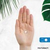 Vitamin B6 100mg | 180 High Strength Tablets | Regulation