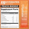 310 Nutrition Polvo de Electrolitos Sin Azúcar Sugar-Free Electrolyte Hydration