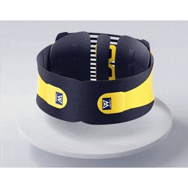 Back Brace for Lower Back Pain - Lumbar Support Belt for Men & Women for Sciatica, Herniated Disc, Scoliosis