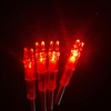 Bgary Lighted Nocks .244''6.2mm ID Led Archery Arrows Nocks 6Pcs