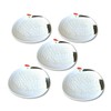 New Year's Tableware, Japanese Dinnerware, Small Plates, Cranes, Lucky, Arita