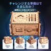 ESC WELT Fort Knox Box PRO 3D Puzzle Box Crew