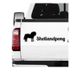 Shetland Pony Mini Horse Sticker Set of 3 Horse Riding